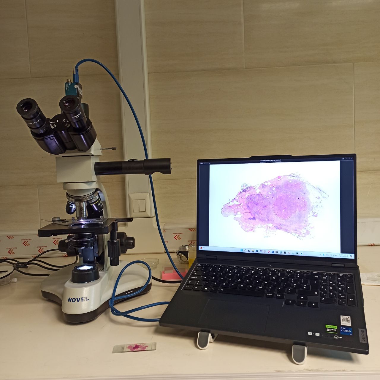 میکروسکوپ مجازی