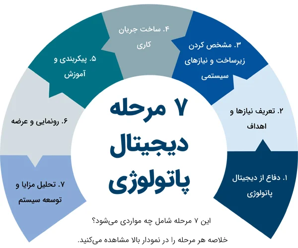 اینفوگرافیک مراحل پاتولوژی دیجیتال