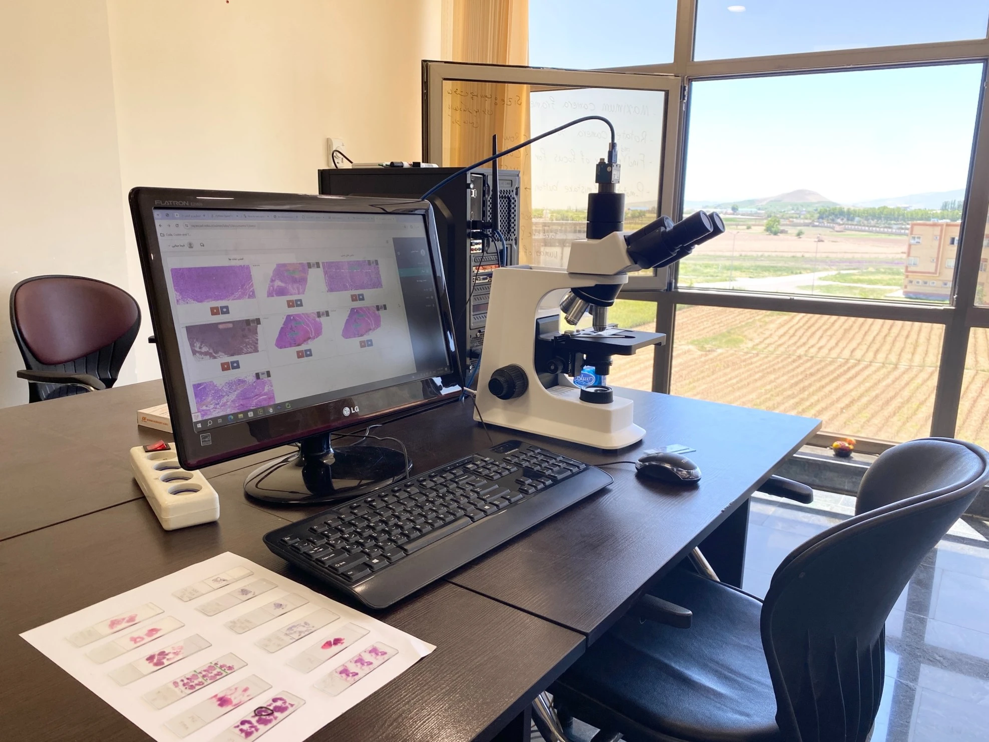  بررسی تصویر wsiدر دیجی پات